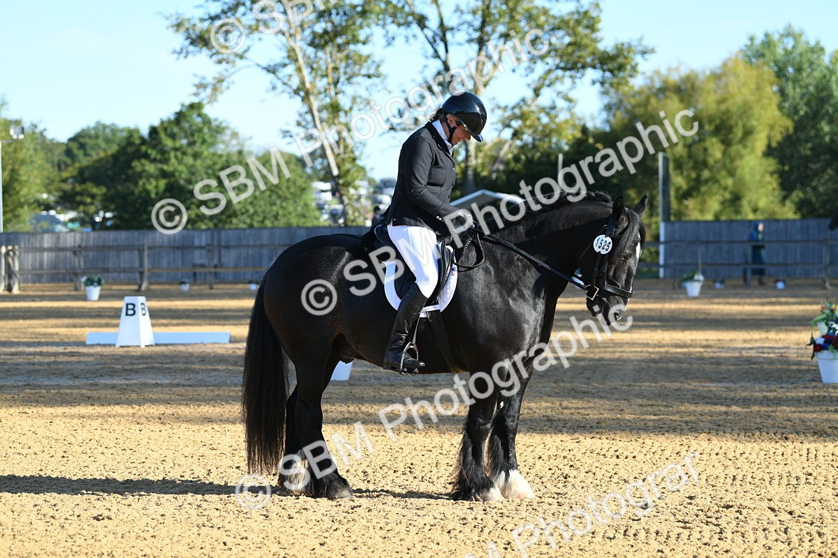 SBM_14522 - D4 - Small Tour Championship - Intro B