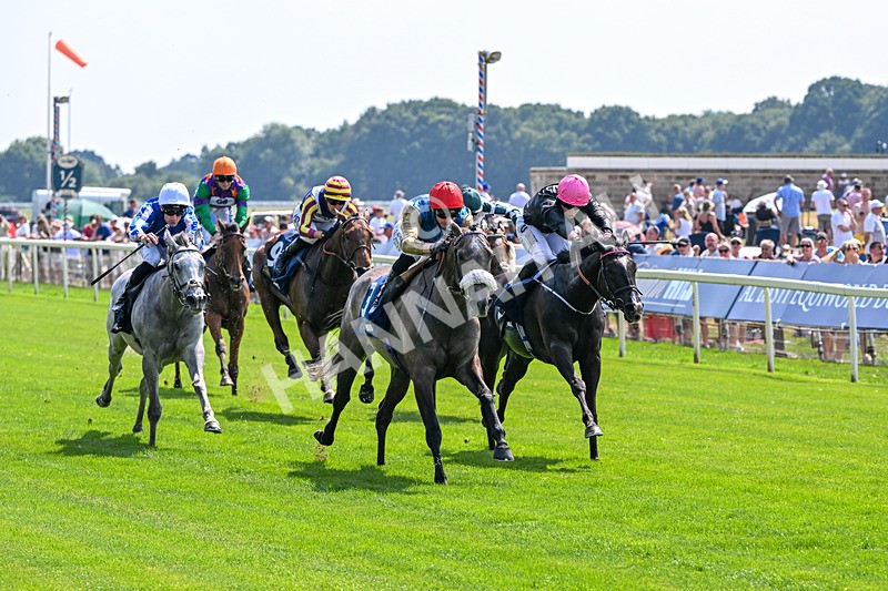 100726-Race 2-Flora Of Bermuda-9651 - Race 2 14.45pm William Hill Summer Stakes