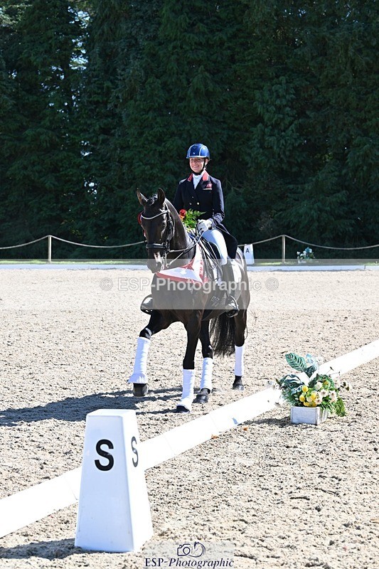 240811-154050-06764 - Inter I Gold