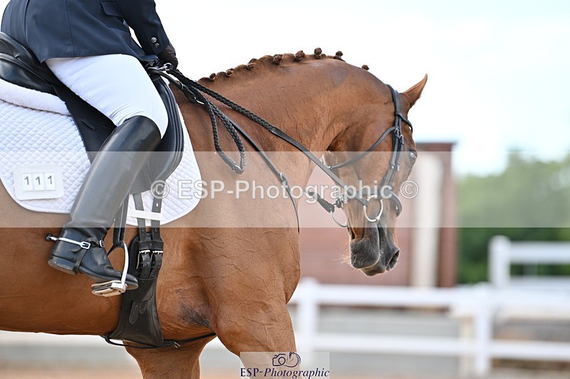 240622A-181054-15495 - Cls 7B+C Elementary 44 RoR