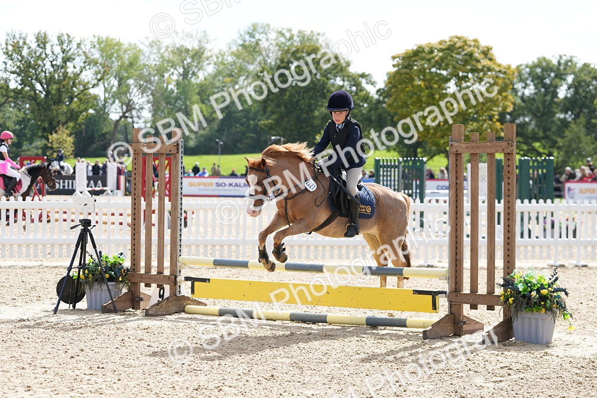SBM_44352 - J7 - Junior Pony 60cm Championship