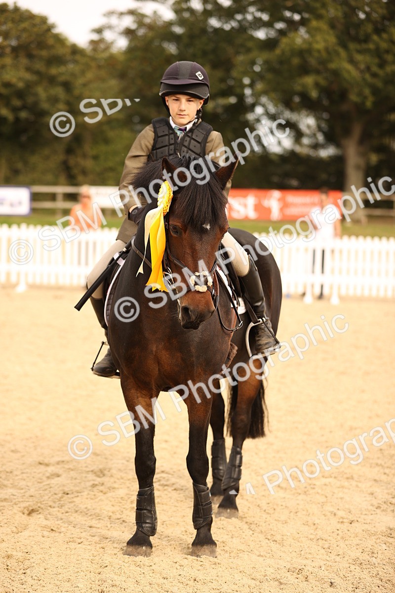 SBM_70842 - J13 - Junior Pony 60cm Championship