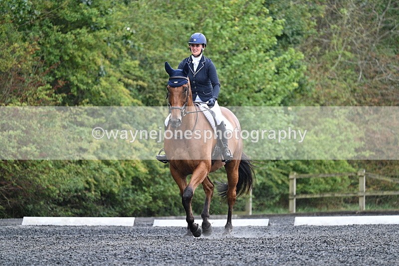 WJ7_6173 - Time 11:38 to 12:03