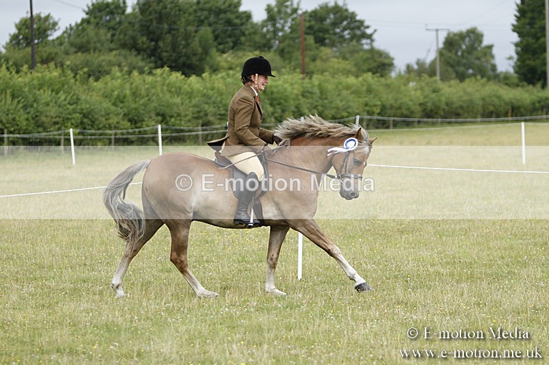 BVR160717-196 - Ring 3 BVRC Show 16/07/17