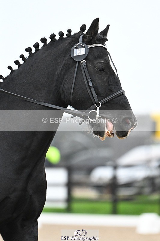 241103-094906-00216 - Intro 3 - 9.40 to 10.40