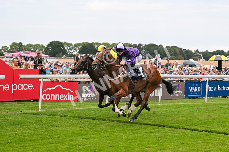 290725-Race 3-Ancient Egypt-0132 - Race 3