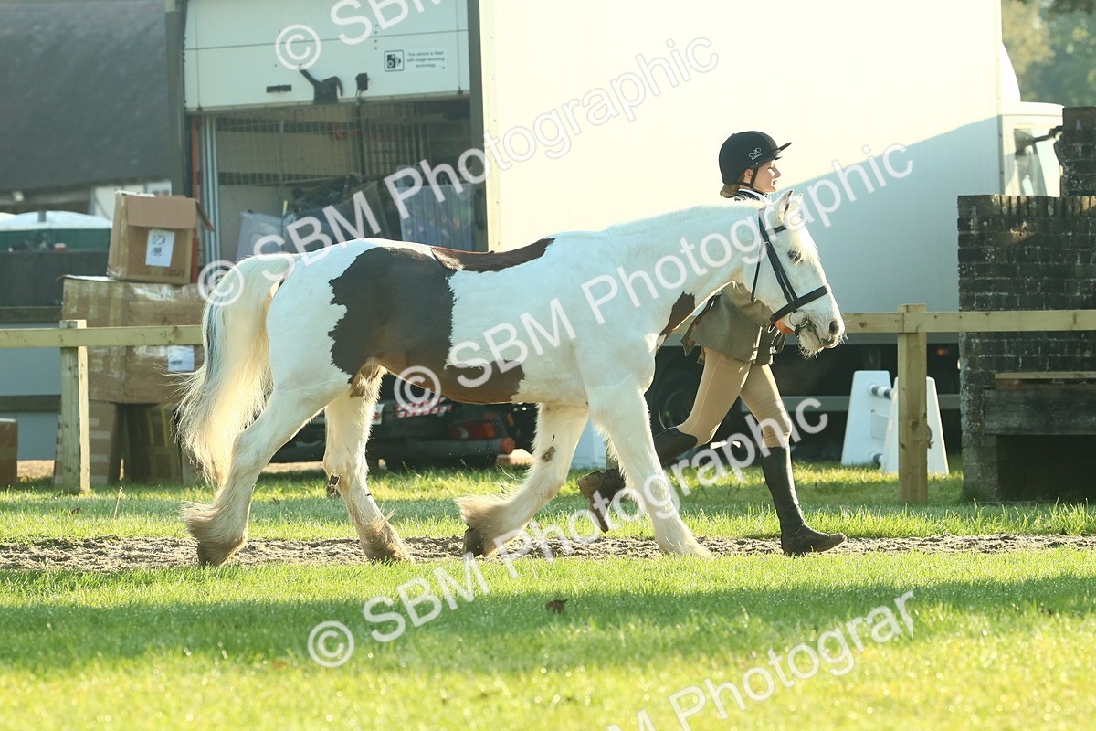 SBM_57332 - S37 - Starters In Hand Showing