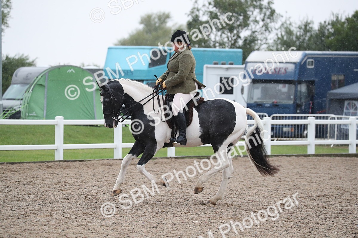 SBM_20464 - Class 601 - 2025 Area - Ridden Diamond