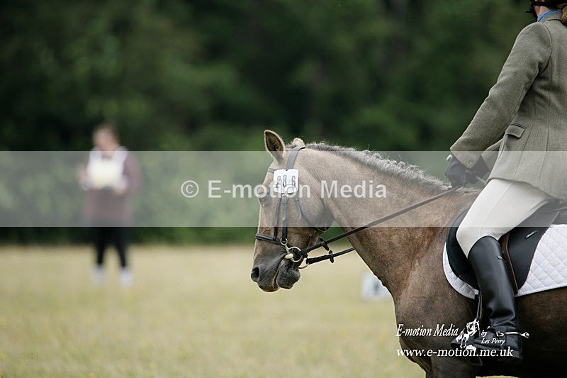 BVRC 030721 343 - Bourne Valley Riding Club Dressage 03/07/21