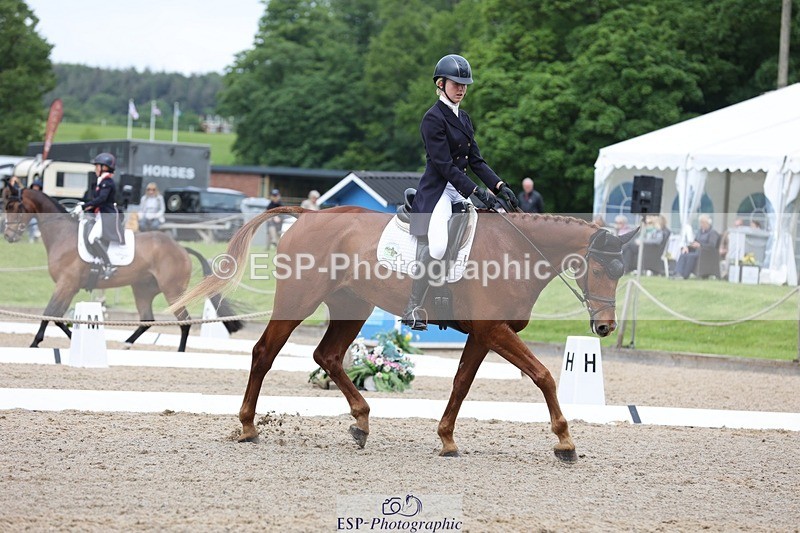 240523-102556-03306 - 212-RIVERSTOWN_ROYAL-Georgie_Frow