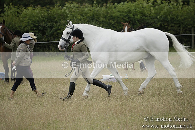 B230619-0773 - Bourne Valley Riding Club Summer Show 23/06/19