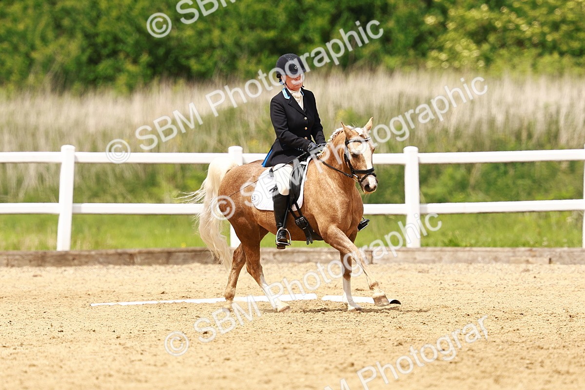 SBM_001769 - Class 7 - Novice 5