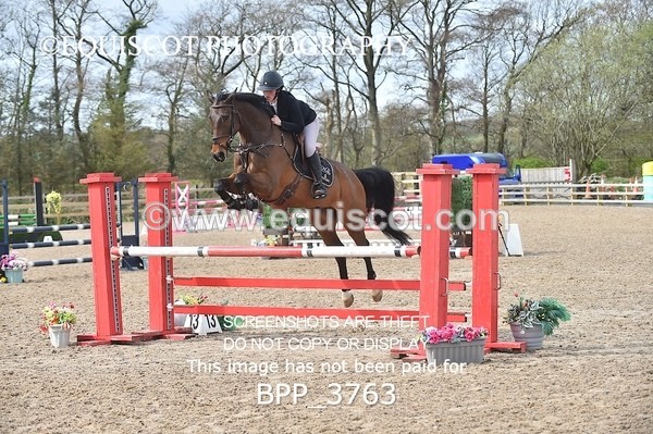 BPP_3763 - CLASS 3 Senior Discovery/ 1m Open