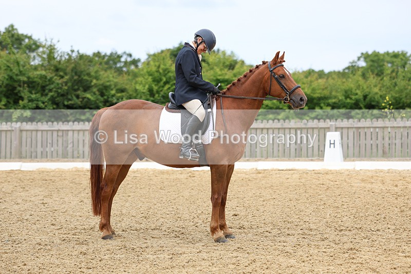 3E7A9404 - Class 2: Intro 1 2024 Section B