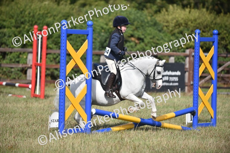 20260906-0961 - Class 7 - Absolute Novice Jumping 35cm