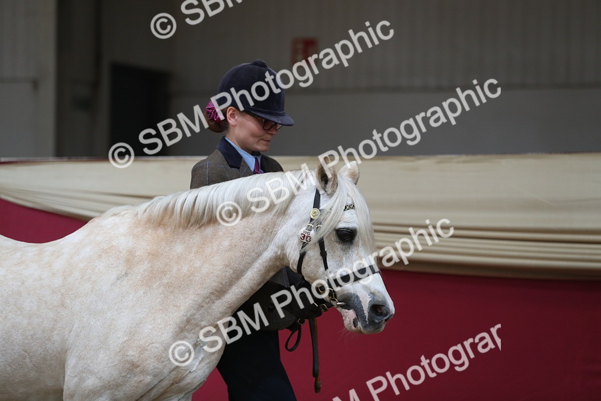SBM_04297 - Class 7R Regional - IH Diamond