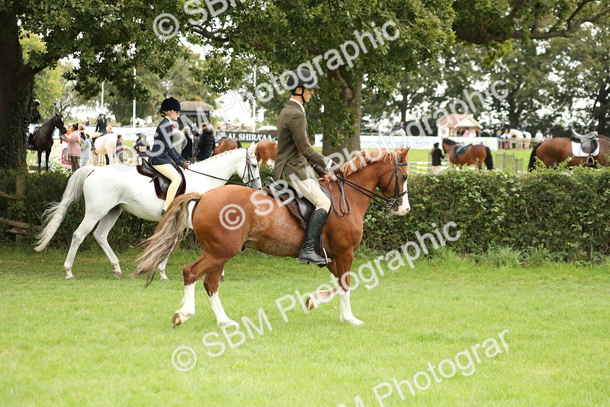 SBM_73686 - S41 - Ridden Equitation (Best Rider)