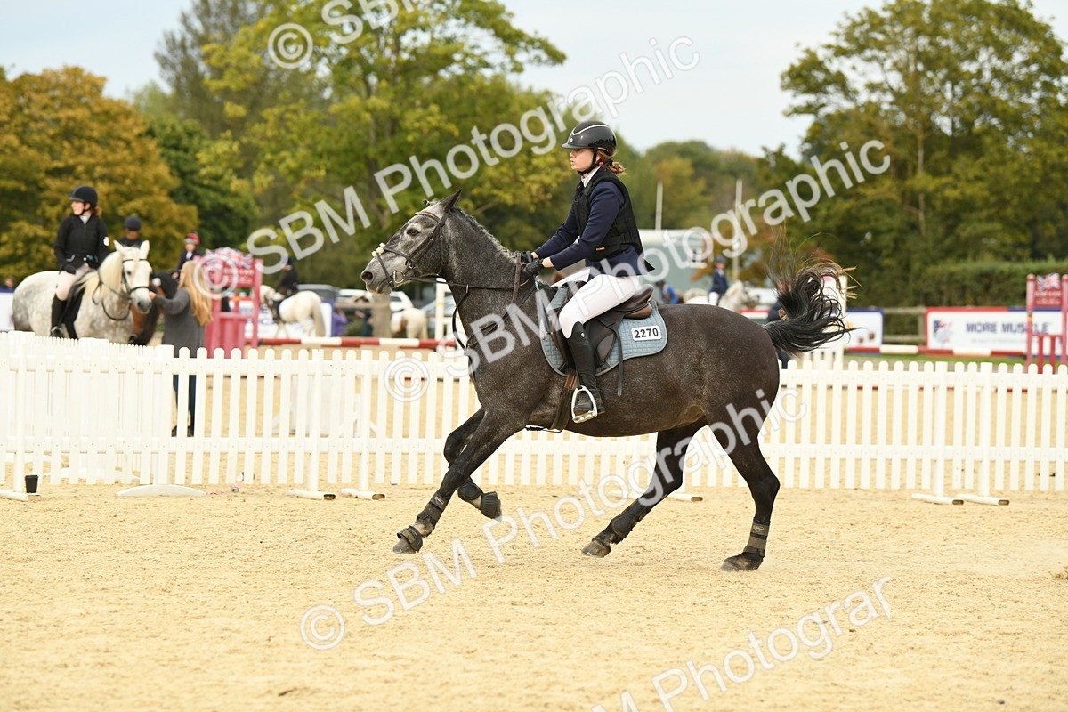 SBM_72862 - J16 - Junior Pony 75cm Championship