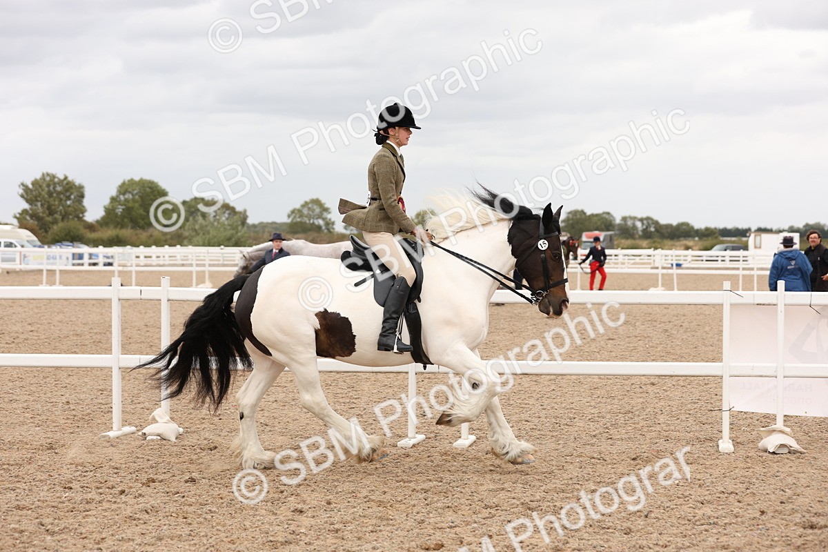SBM_19753 - Class 216 - Ridden Traditional - Native Cob