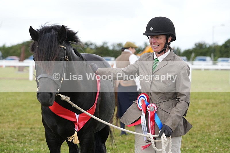 DSC05990 - NPS M&M In Hand Championship