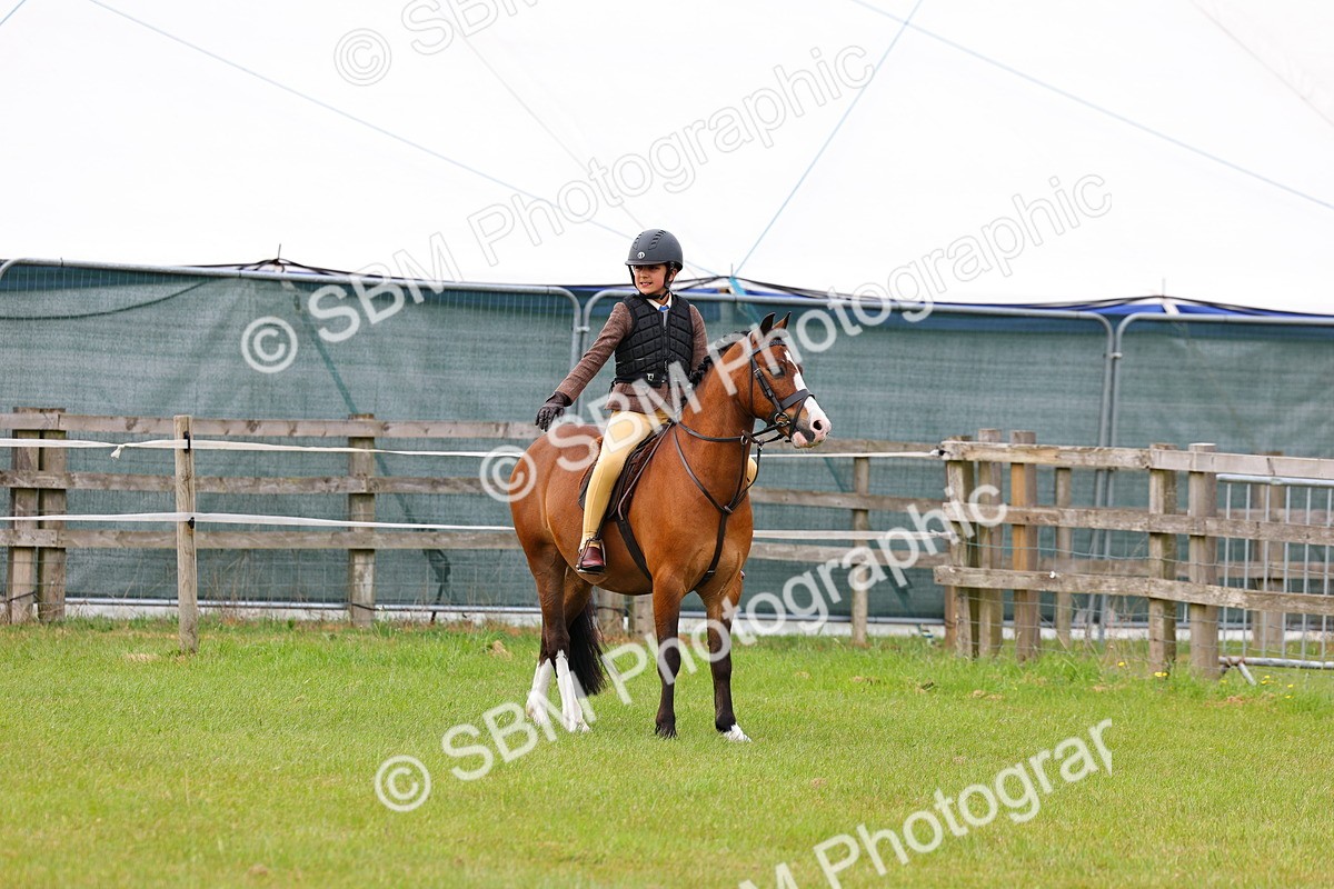 SBM_09557 - Class 44-45 - LIHS BSPS Open Nursery and Cradle Stakes