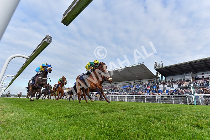 040526-Race 8-Coolree-7668 - Race 8