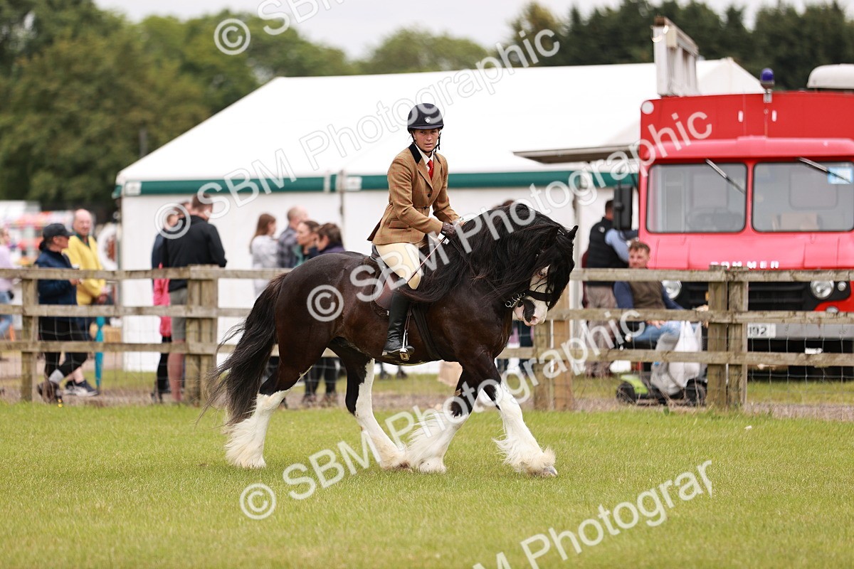SBM_06186 - Class 39-41 TGCA In Hand and Ridden