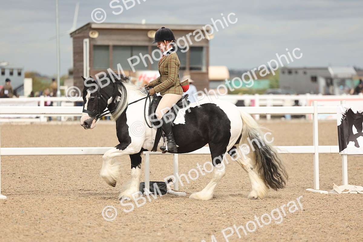 SBM_18019 - Class 314 - Family Horse Pony