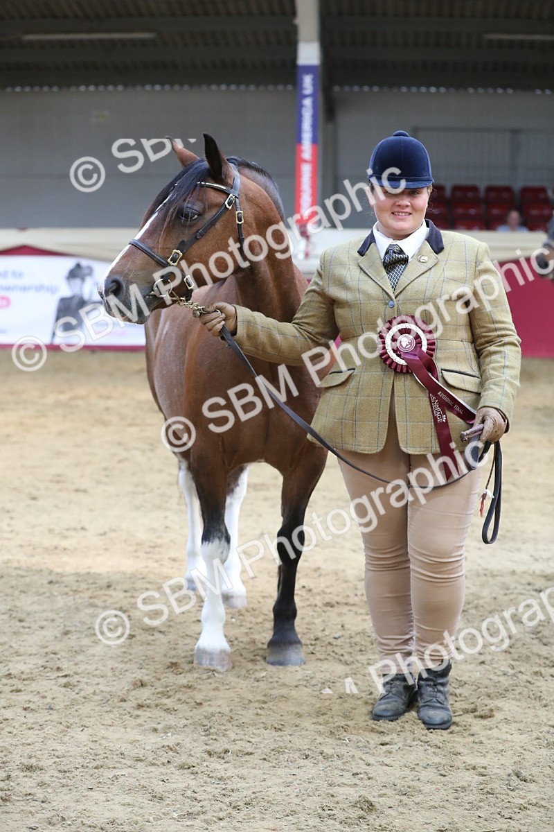 SBM_06463 - Class 9R Regional- IH Pre Vet