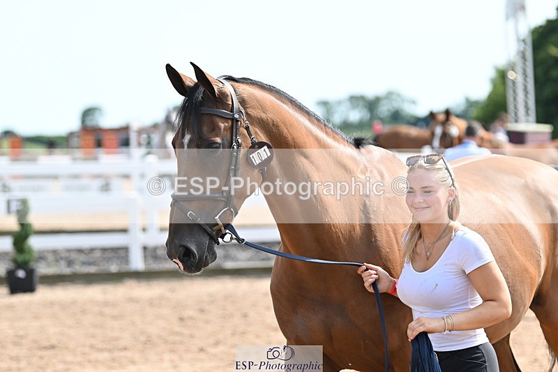 240717A-155513-03189 - Trot Up 3pm to 4pm