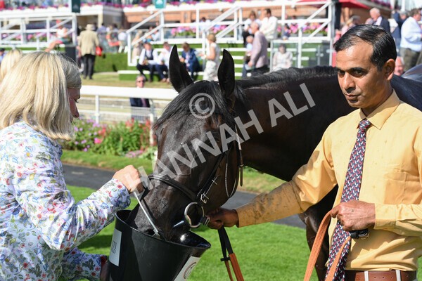 yr09072022r6-35 - Race 6 4.40pm John Smith's City Walls Stakes