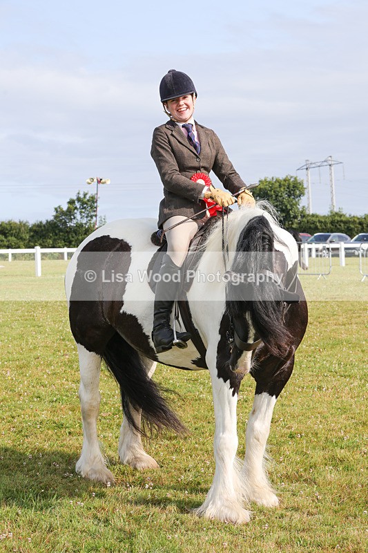 1X9A3168 - Class 27:  Ridden Native/Trad Coloured Horse