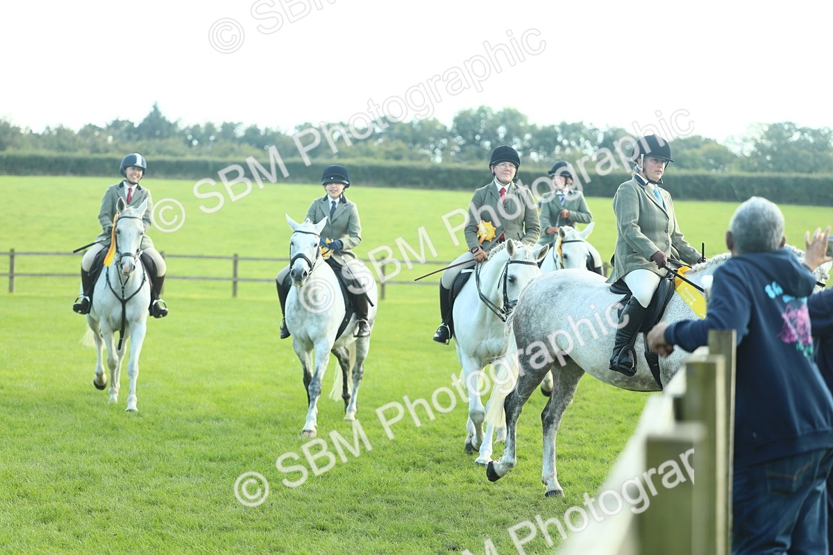 SBM_49958 - S32 - Novice & Newcomers Working Hunter