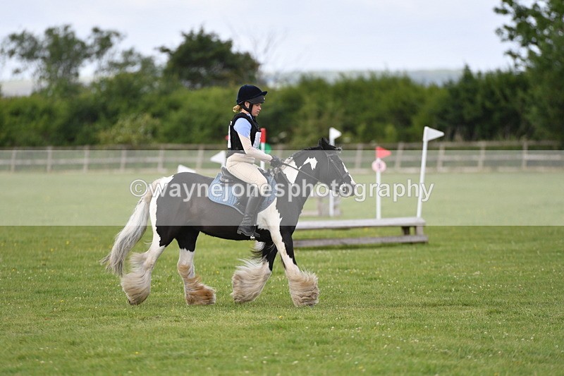 WJ5_2729 - Class 2 40cm