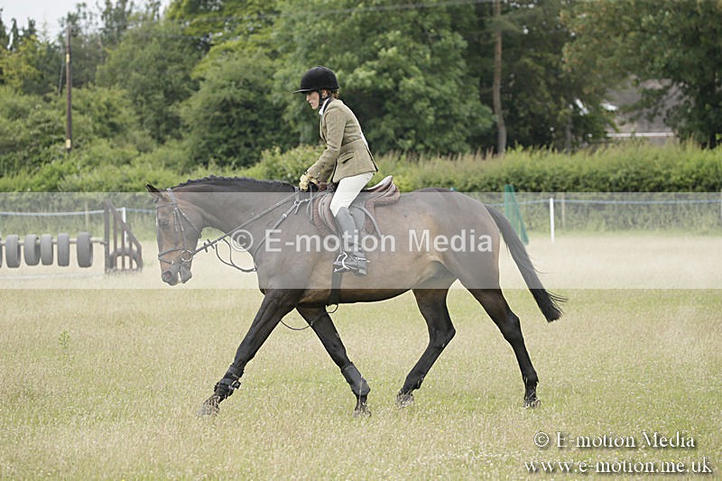 B230619-0869 - Bourne Valley Riding Club Summer Show 23/06/19