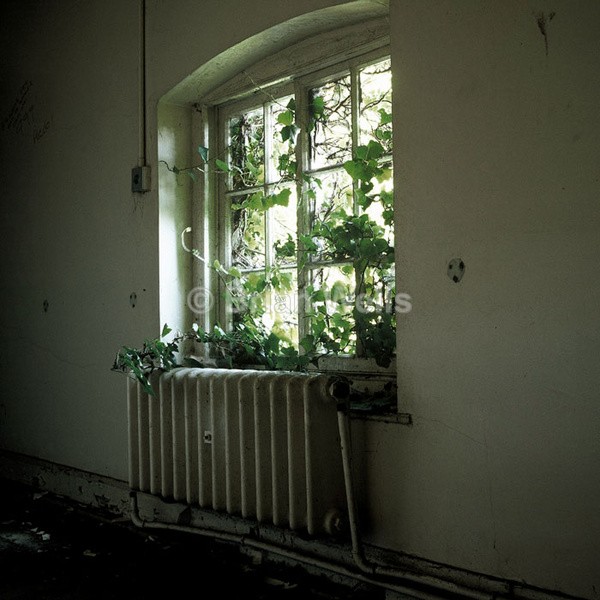 Interior at Hales Hospital. - Decor