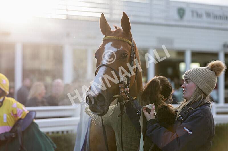 281224-Race 3-Pescatorius-1534 - Race 3