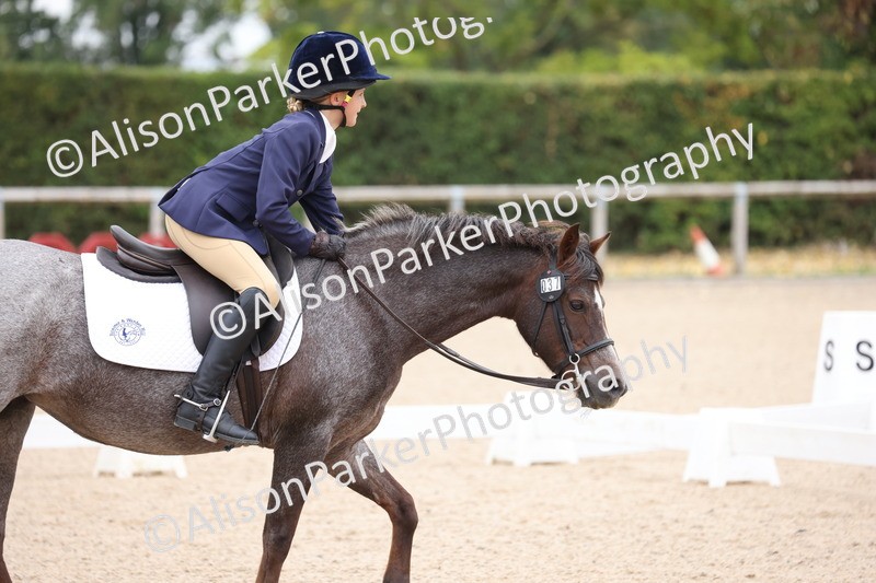 20250819-0909 - Class 2 - Prelim 1