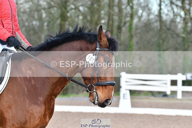 240107A-094149-00167 - Quest DR Tests