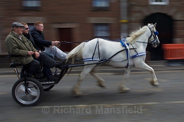  - Appleby Horse Fair