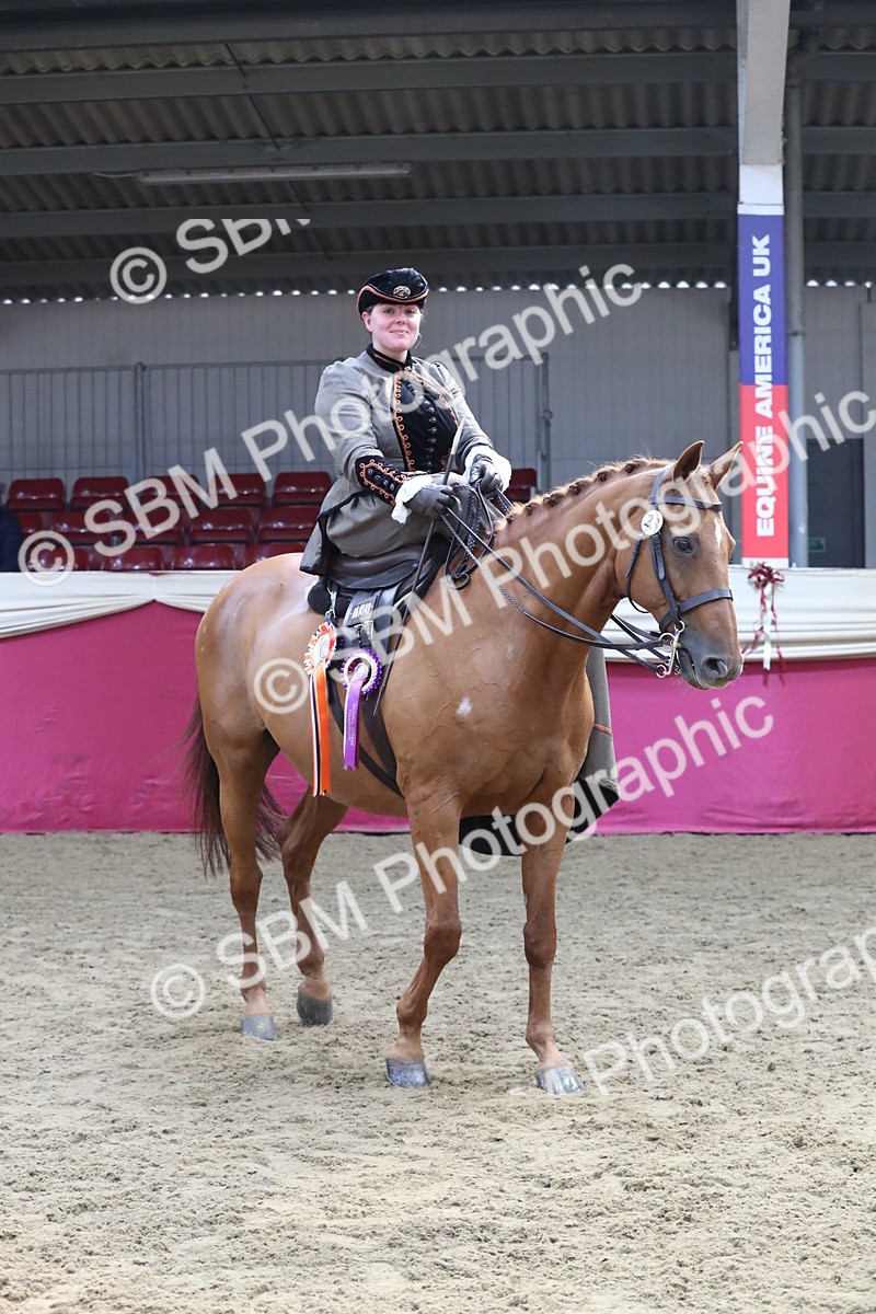 SBM_11630 - Class 105 Ridden Costume- Side Saddle