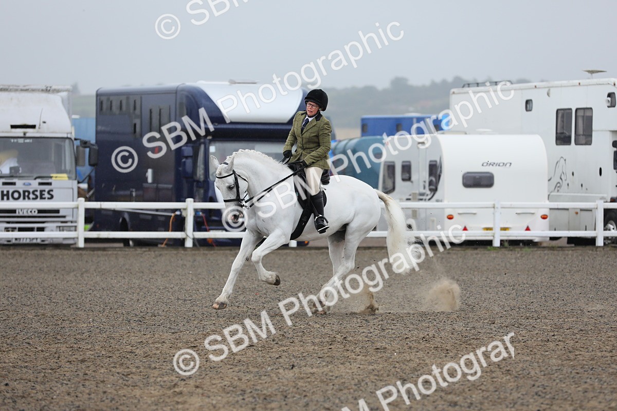 SBM_20328 - Class 803 - Ridden Combination 65+