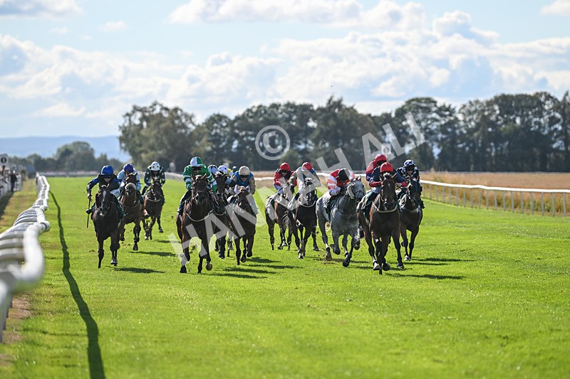 290825-Race 4-Eternal Sunshine-8996 - Race 4