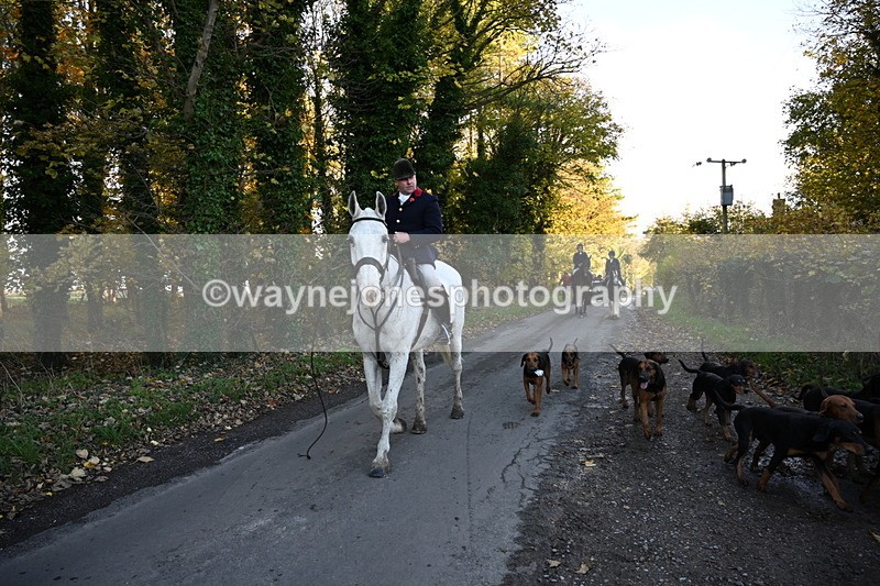 WJ6_9646 - Walk Home