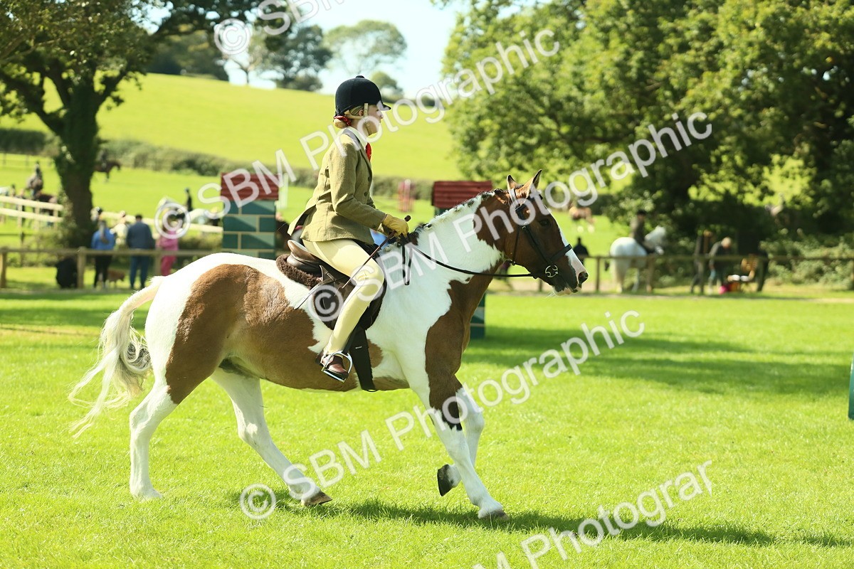SBM_41973 - S29 - Novice & Newcomers Working Hunter Pony
