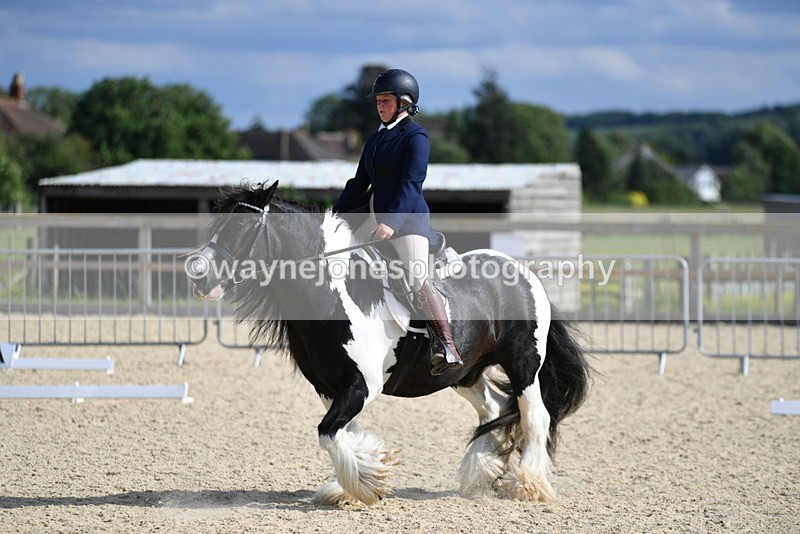 WJ5_7772 - Time 16:40 to 16:55