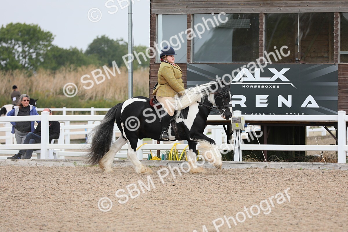 SBM_12761 - Class 307 Ridden Coloured Pony