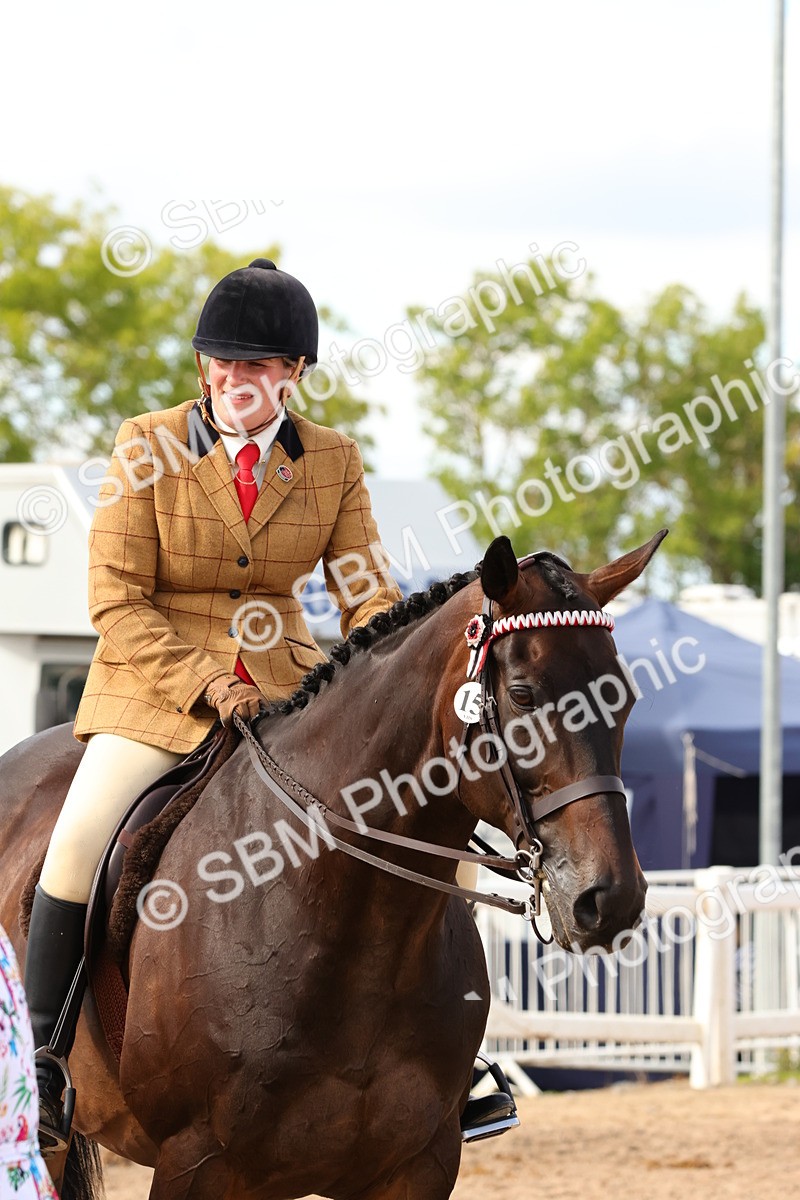 SBM_16282 - Class 217 - Ridden Retired Racehorse