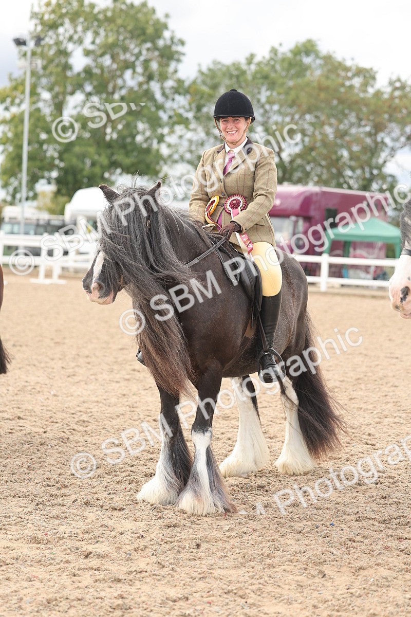 SBM_18081 - Class 314 - Family Horse Pony