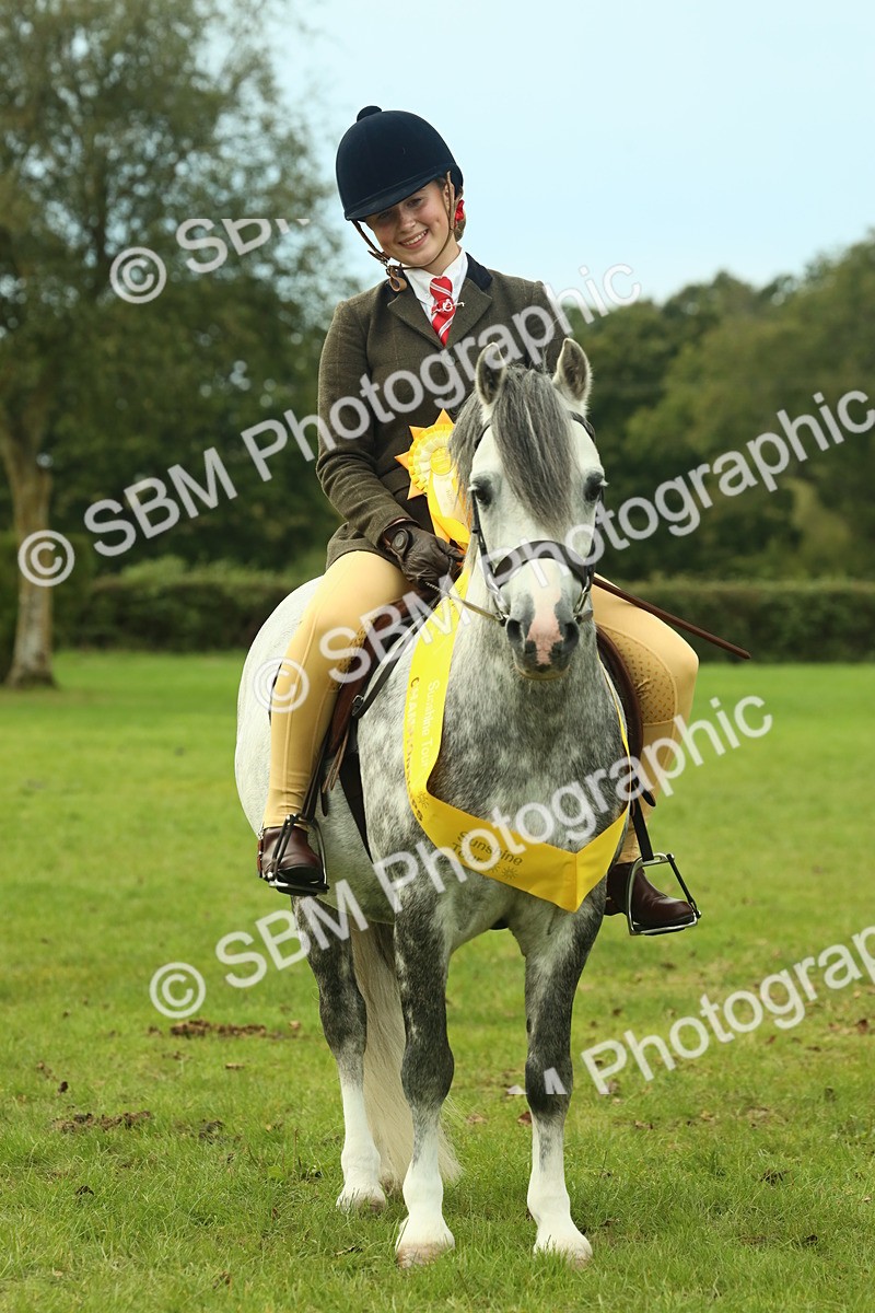 SBM_70034 - S59 - Mountain & Moorland Ridden Small Breeds